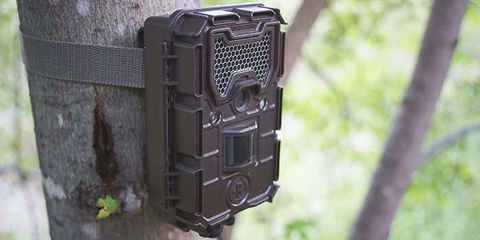 Bushnell Trophy Cam Review